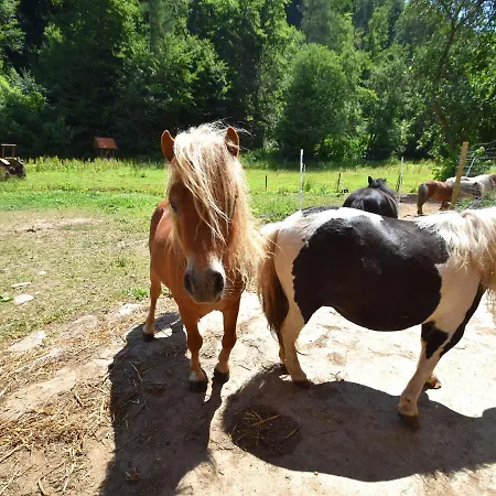 Farm Situated Next To The Kellerwaldnational Park Lägenhet Bad Wildungen
