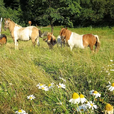 Farm Situated Next To The Kellerwaldnational Park Bad Wildungen